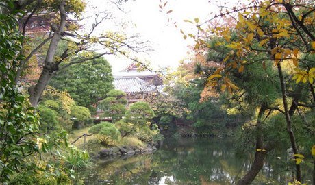 2011-11-28 Denboin garden designed by Kobori Enshu